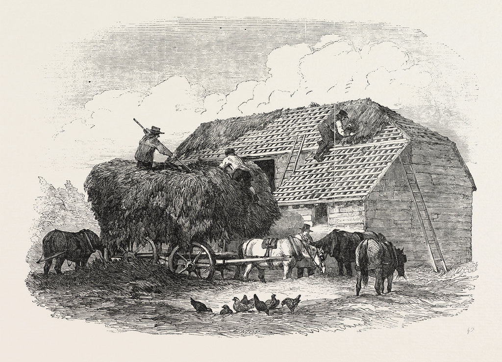 Detail of Agricultural Pictures: Thatching, 1846 by Anonymous