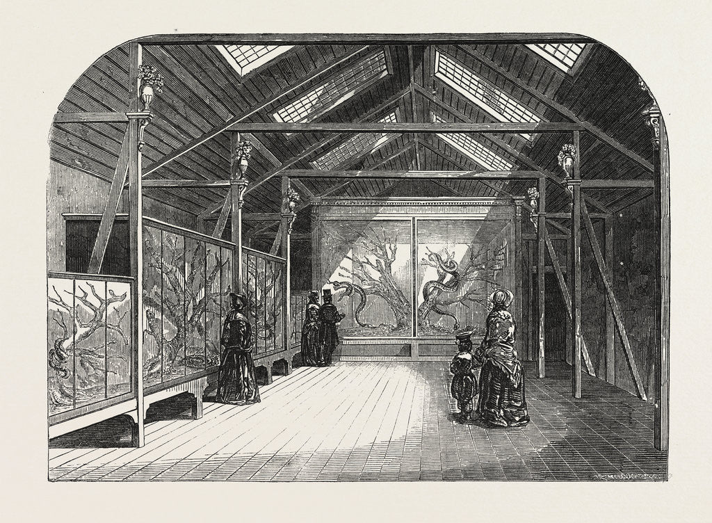 Detail of The New Reptile House in the Gardens of the Zoological Society, Regent's Park, London, 1849 by Anonymous