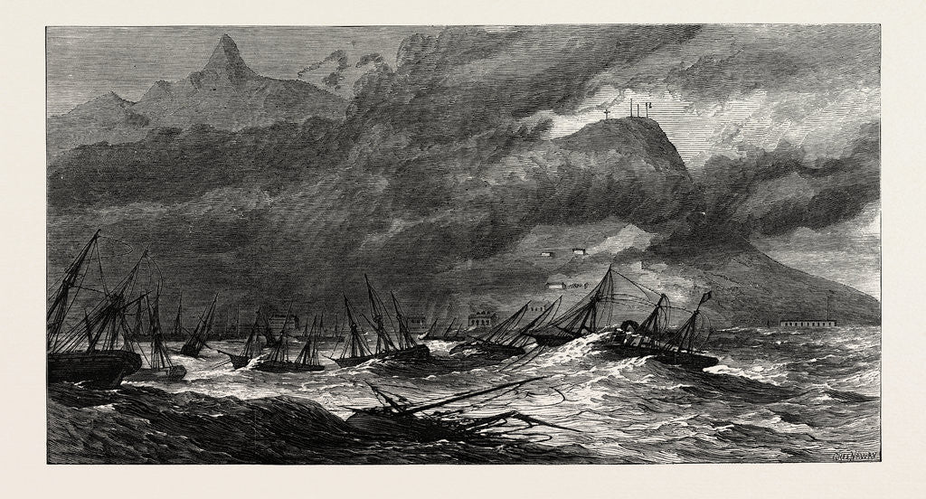 Detail of Hurricane at the Isle of Mauritius, 1874 by Anonymous