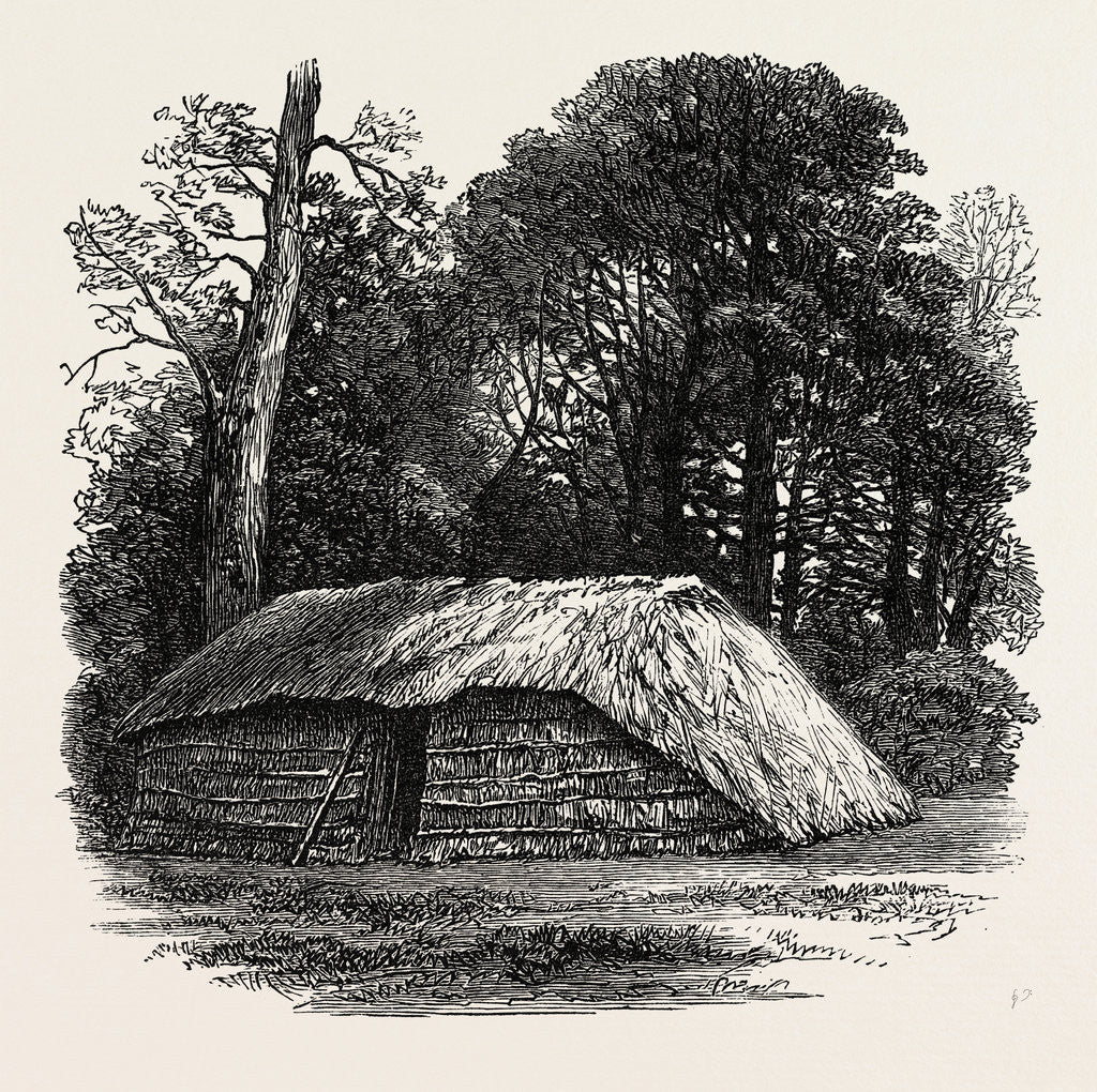 Detail of Facsimile of the Hut Built for Dr. Livingstone to Die in. 1874 by Anonymous