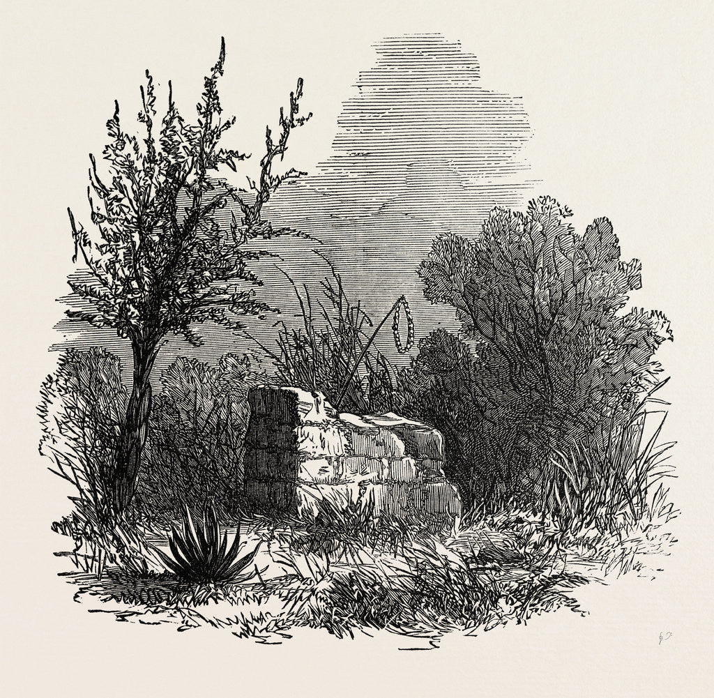 Detail of Tomb of Virginia, Mauritius, 1874 by Anonymous