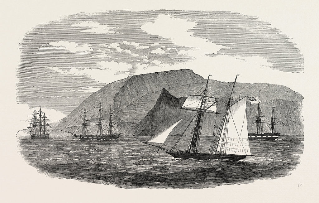 Detail of The Northernmost Chincha (Guano) Island. 1850 by Anonymous