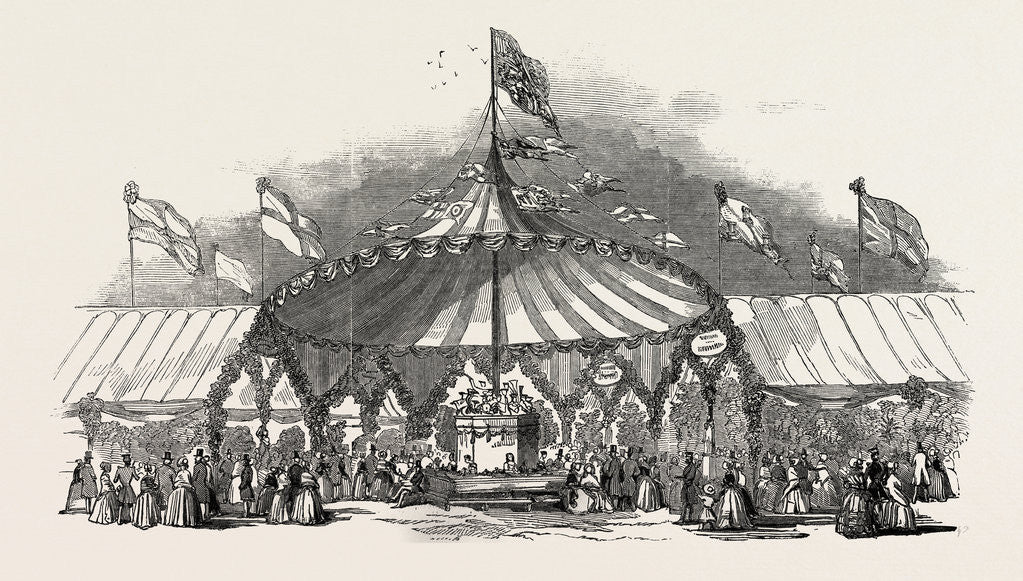 Detail of The Northumberland and Newcastle Horticultural Society's Flower-Show. Rotunda of the Tent. UK, 1846 by Anonymous