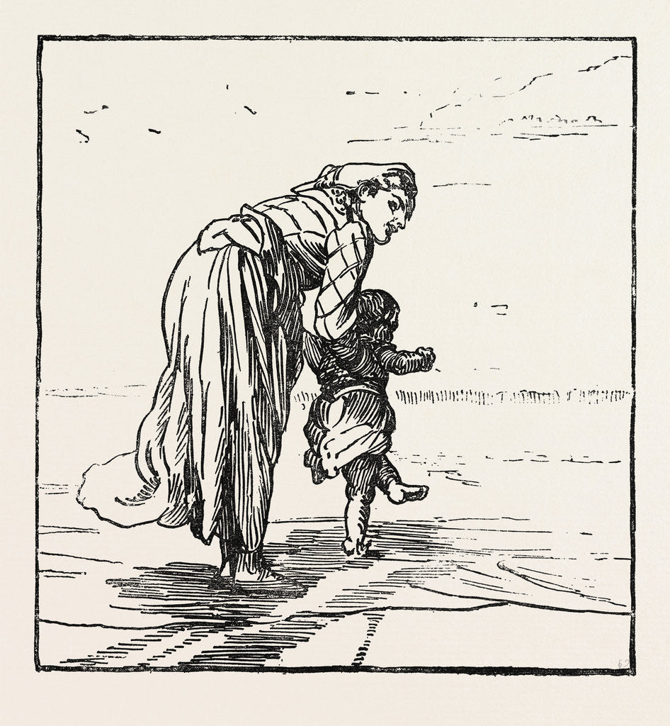 Detail of Sea Urchin by Anonymous