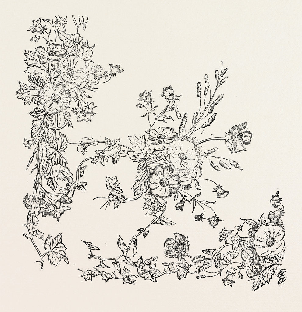 Detail of Silk Pattern. 1851 by Anonymous