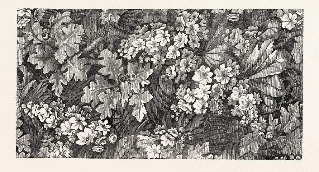 Detail of Carpet. Kidderminster. 1851 by Anonymous