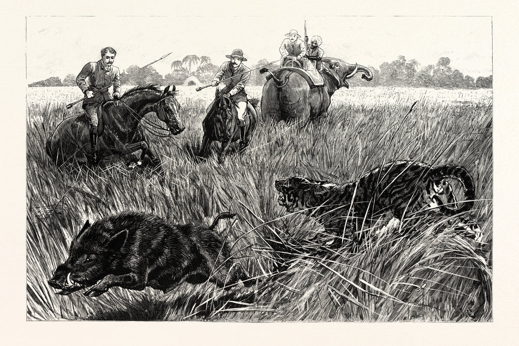 Detail of Pig-Sticking on the Churs of the Bramapootra Surprised by a Tiger by Anonymous