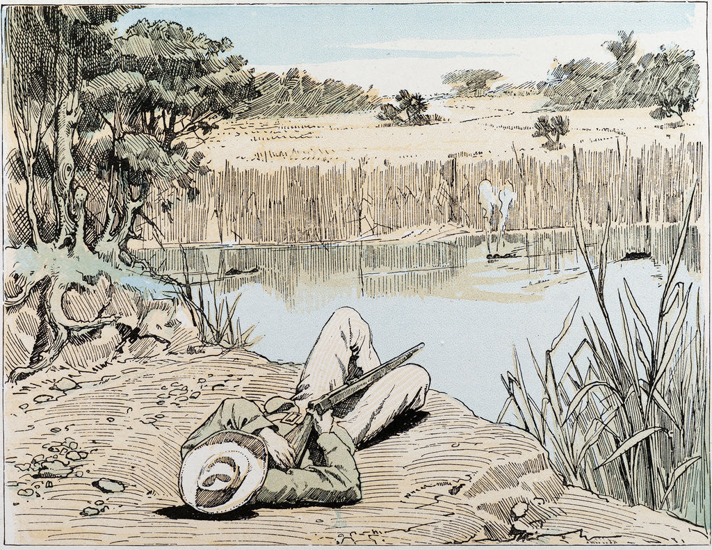 Detail of Hunting a Hippopotamus in South Africa by Anonymous