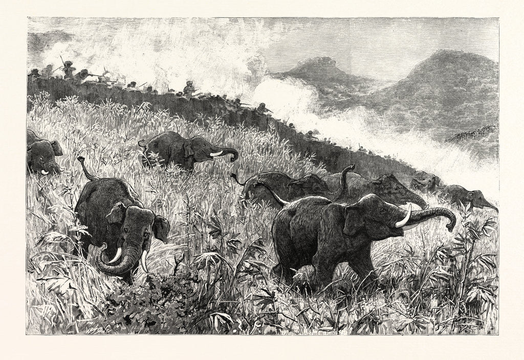 Detail of An Elephant Kraal Arranged for the Czarevitch Near Colombo Ceylon (Sri Lanka) by Anonymous