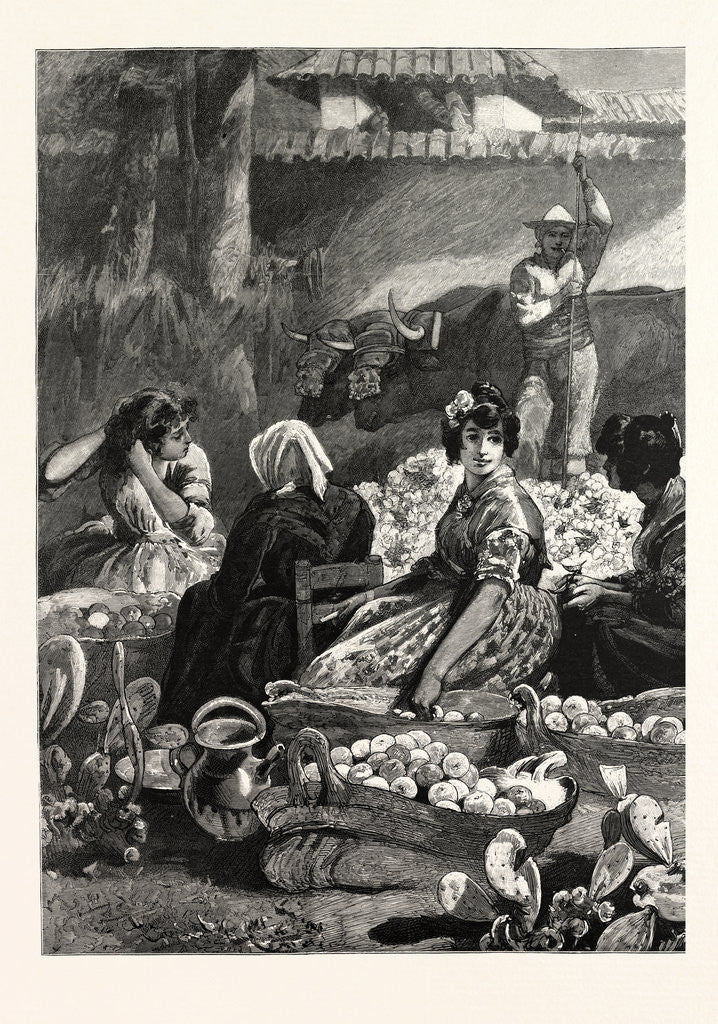 Detail of In the Sunny South Packing Oranges in the Marketplace at Seville Spain by Anonymous