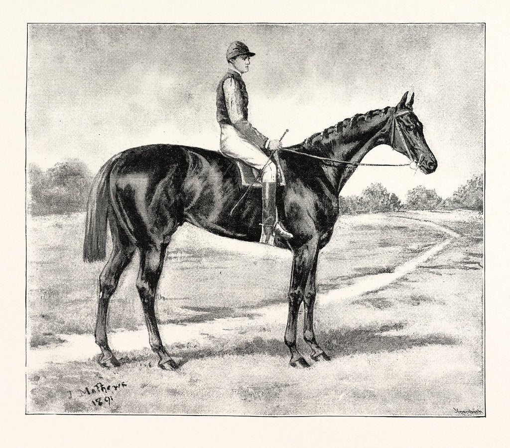 Detail of Lord Alington's Common Winner of the Two Thousand Guineas and Favourite for the Derby by Anonymous