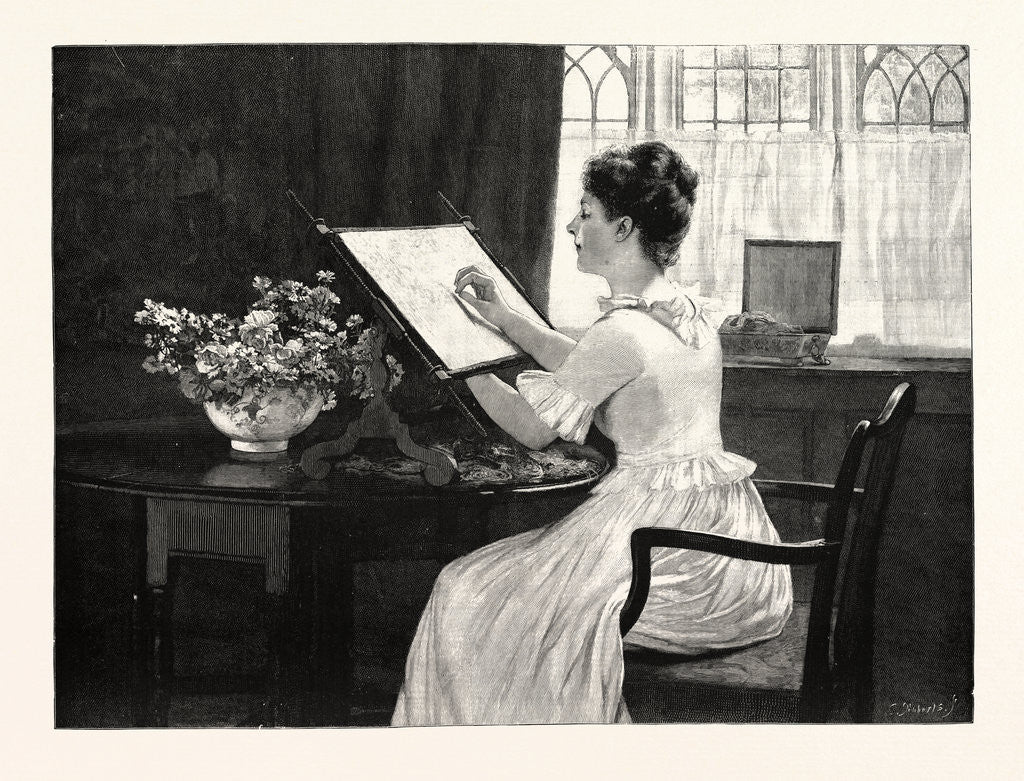 Detail of Michaelmas Daisies by Anonymous