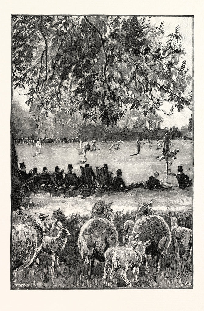 Detail of A Boy's Life at Eton: Oh! Well Hit! a Cricket Match in the Playing Fields UK by Anonymous