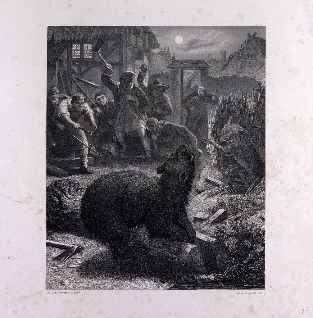 Detail of Bruin in the Trap by Anonymous