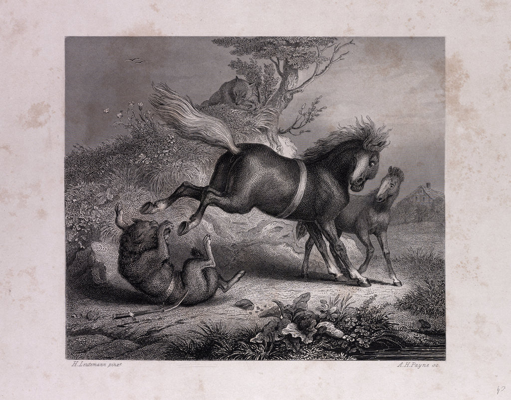 Detail of The Mare and the Wolf by Anonymous