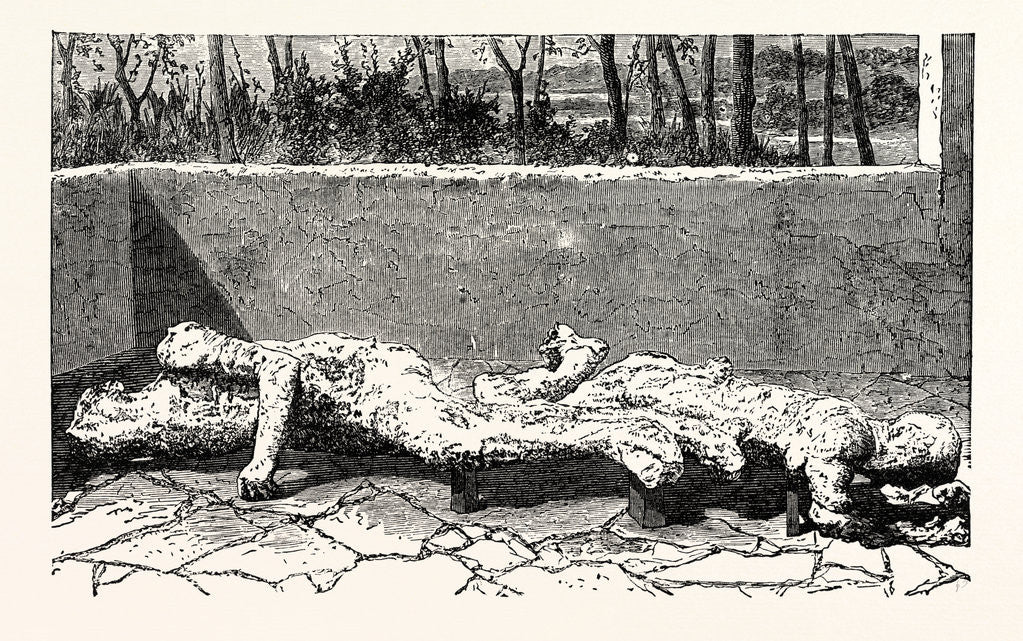 Detail of Casts of Dead Bodies of Two Women by Anonymous