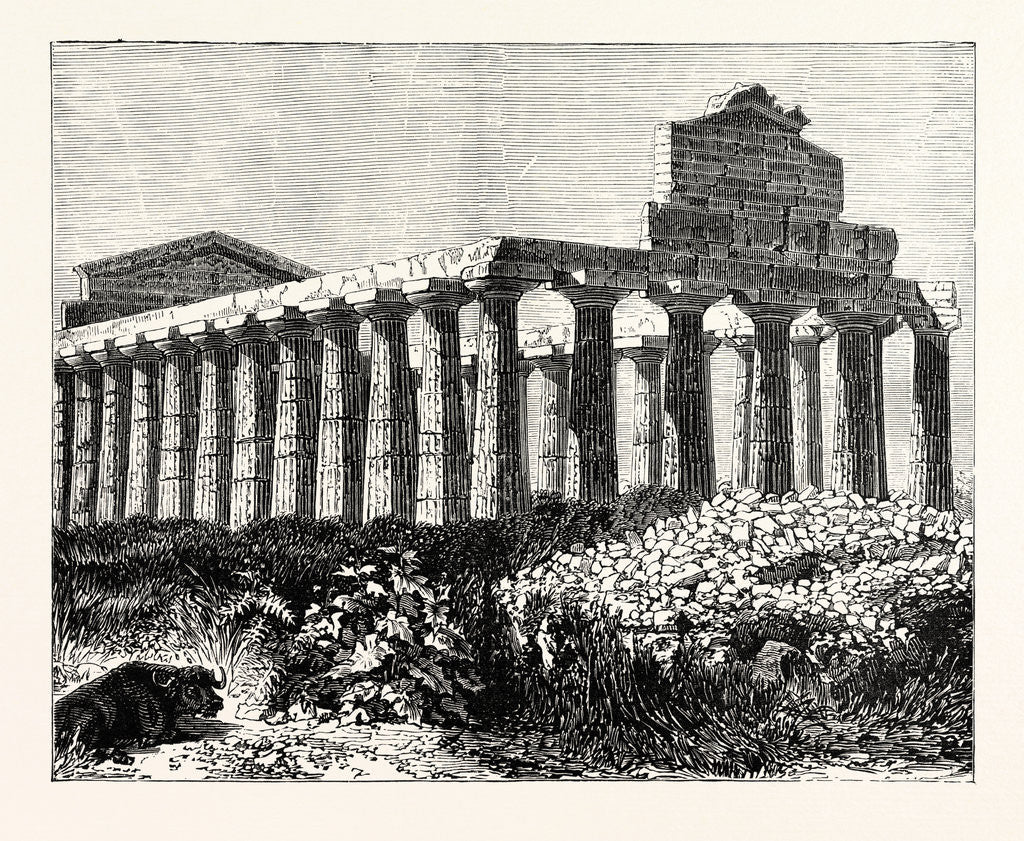 Detail of Temple of Vesta at Paestum by Anonymous