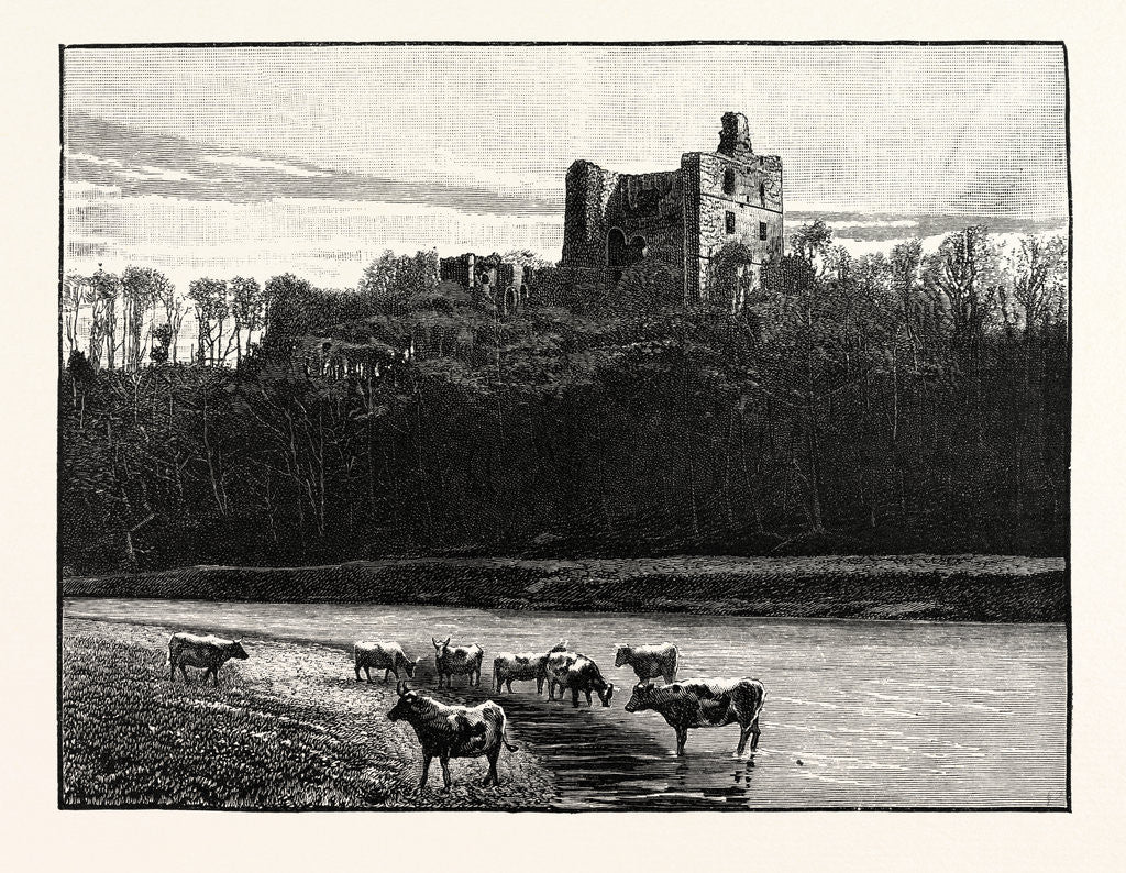 Detail of Norham Castle by Anonymous