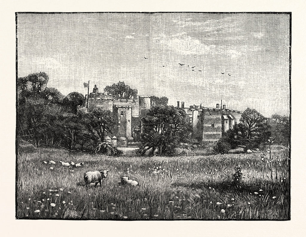 Detail of Berkeley Castle by Anonymous