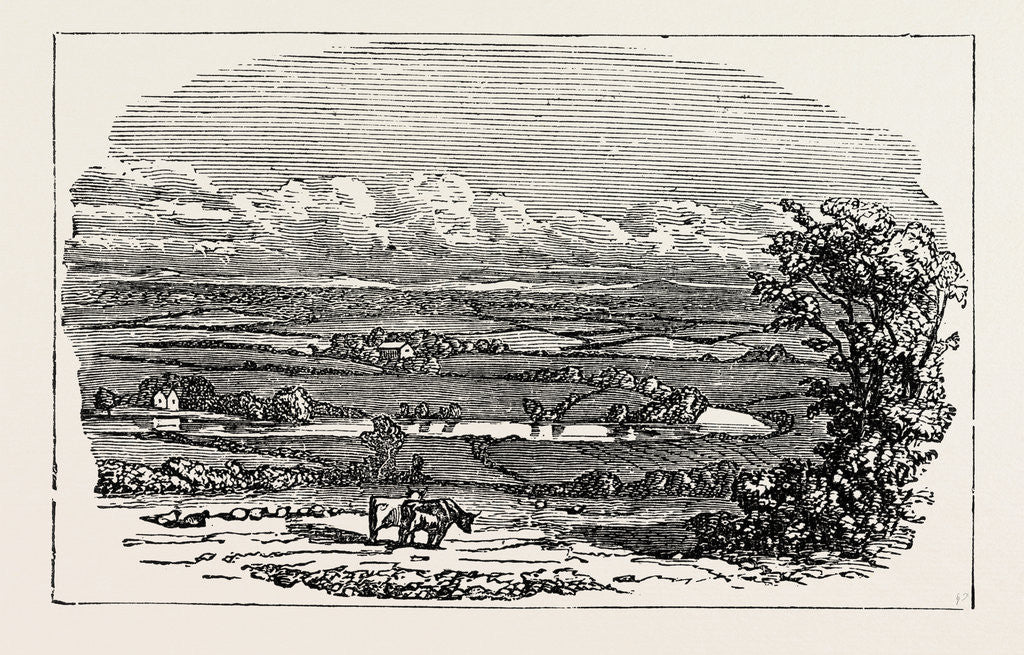 Detail of Runnymede by Anonymous