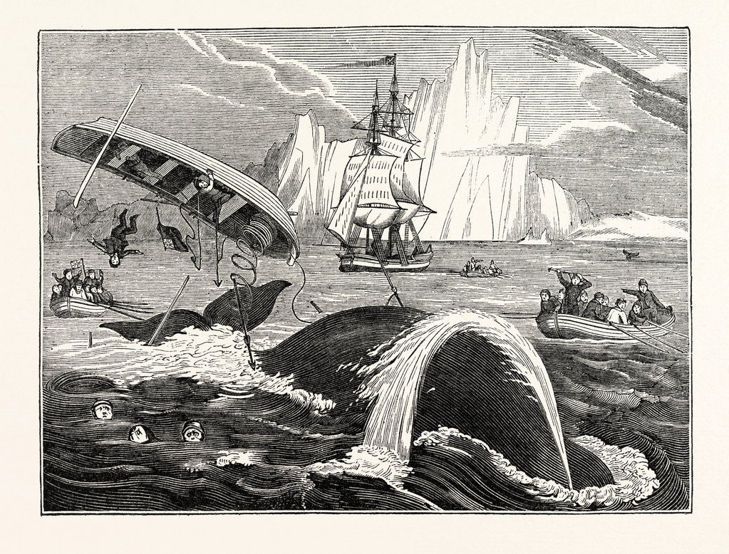Detail of Dangers of the Whale Fishery by Anonymous
