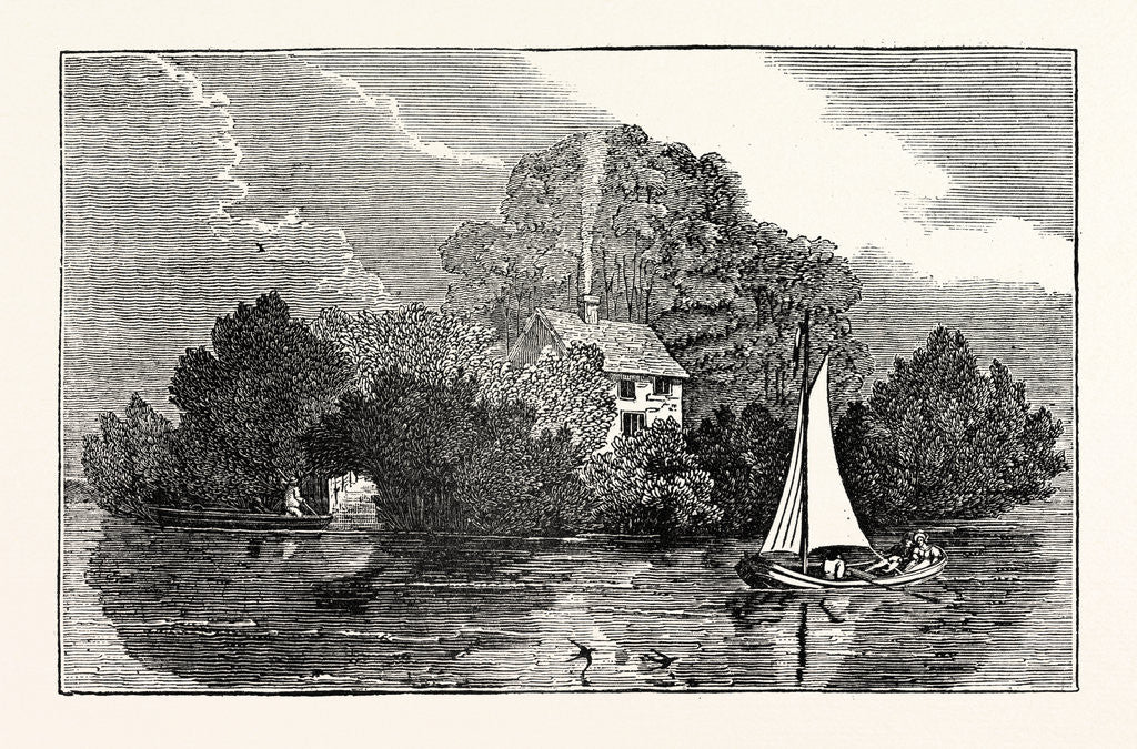 Detail of Magna Charta Island by Anonymous