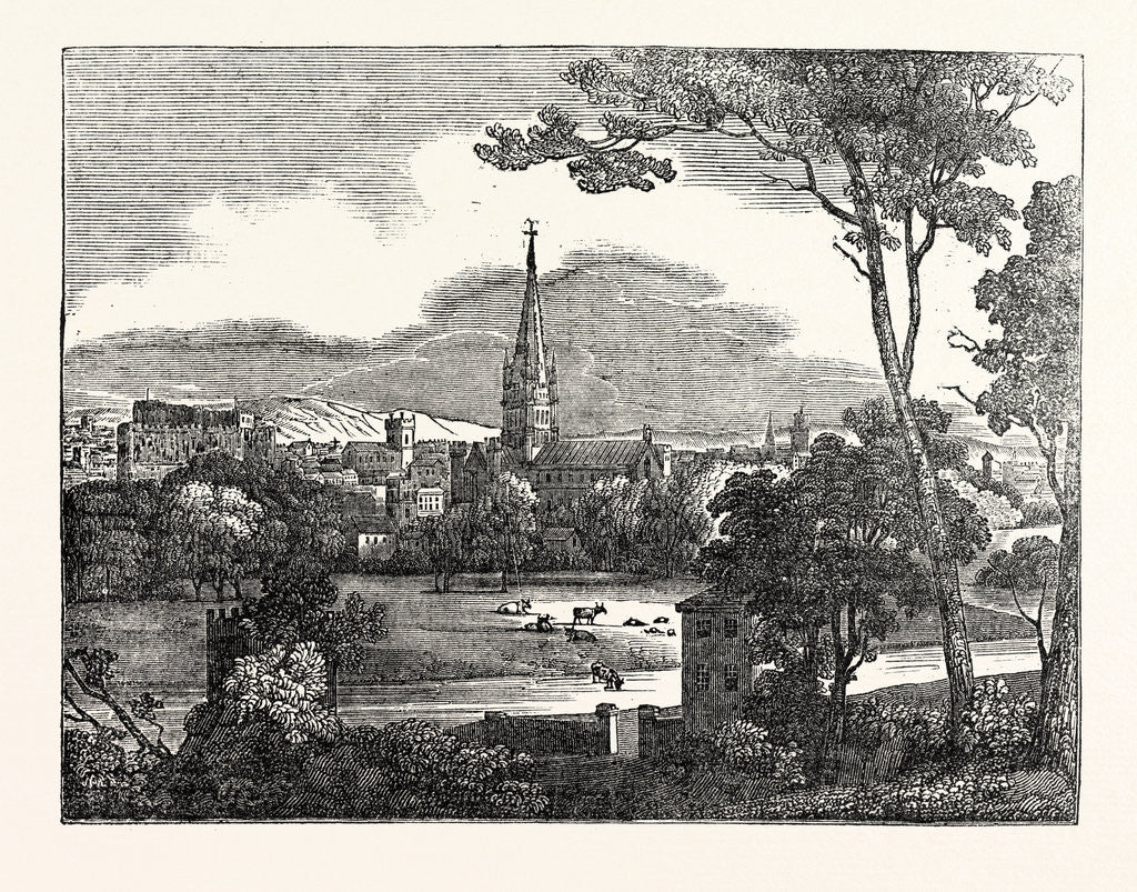 Detail of South-West View of the City of Norwich by Anonymous