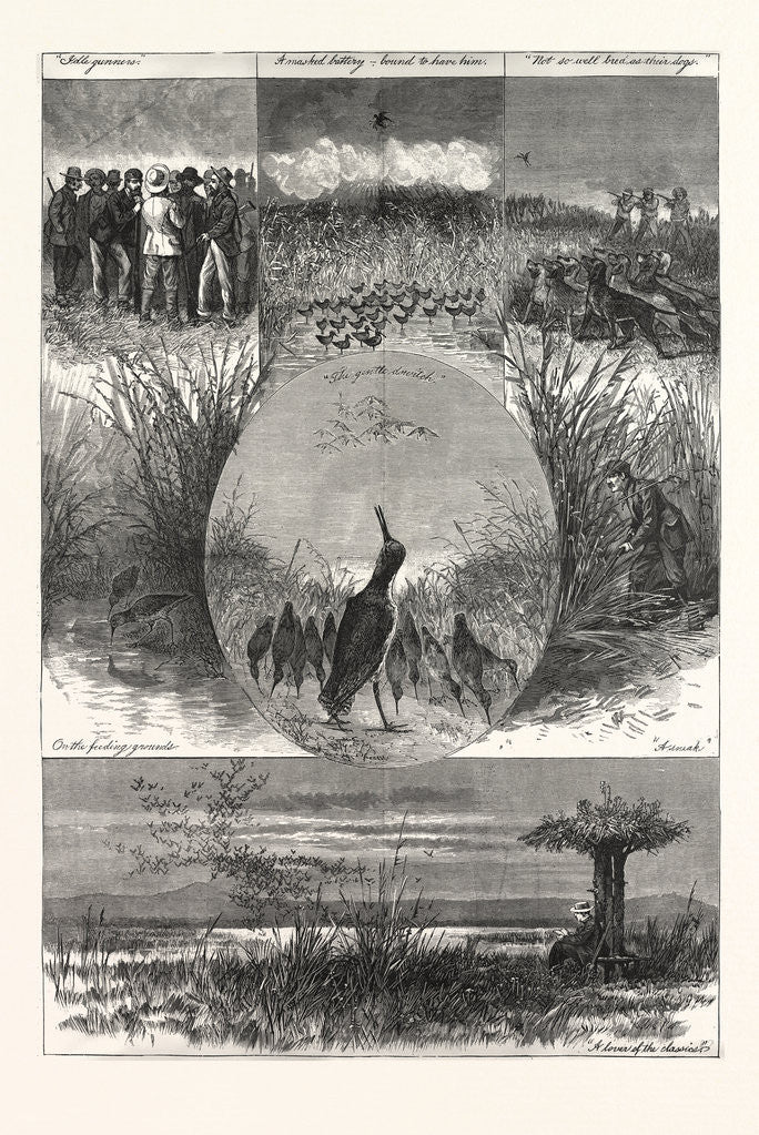 Detail of The Snipe, Drawing Gaston Fay by Anonymous