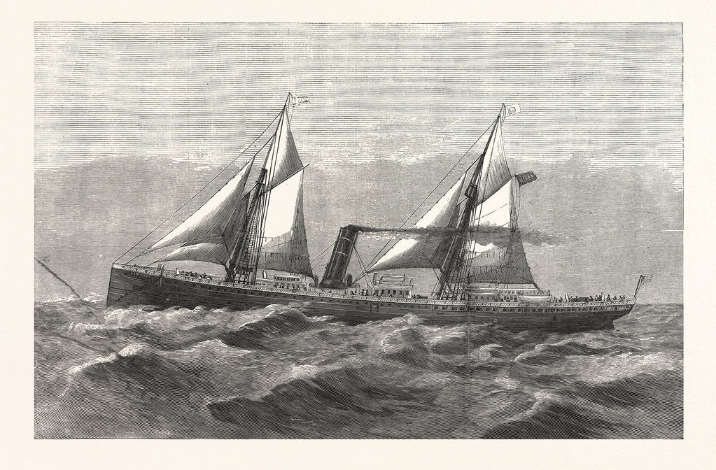 Detail of New Steam-Ship Newport, Ward's Havana Line by Anonymous