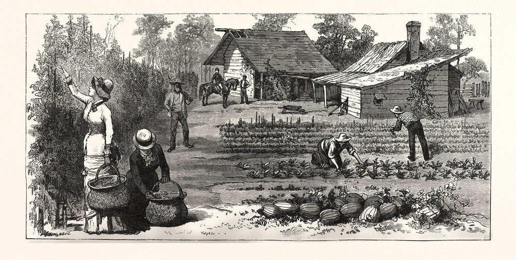Detail of English Garden. Scenes Rugby, the English Colony Tennessee by Anonymous