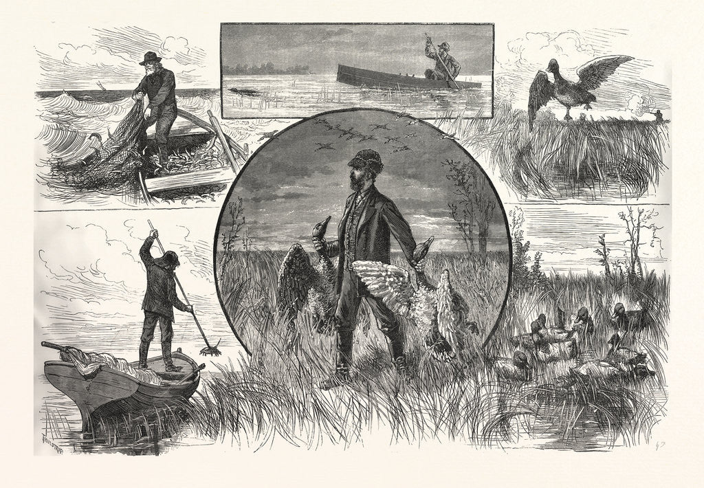 Detail of Cruelties Practised on Fish and Fowl by Anonymous