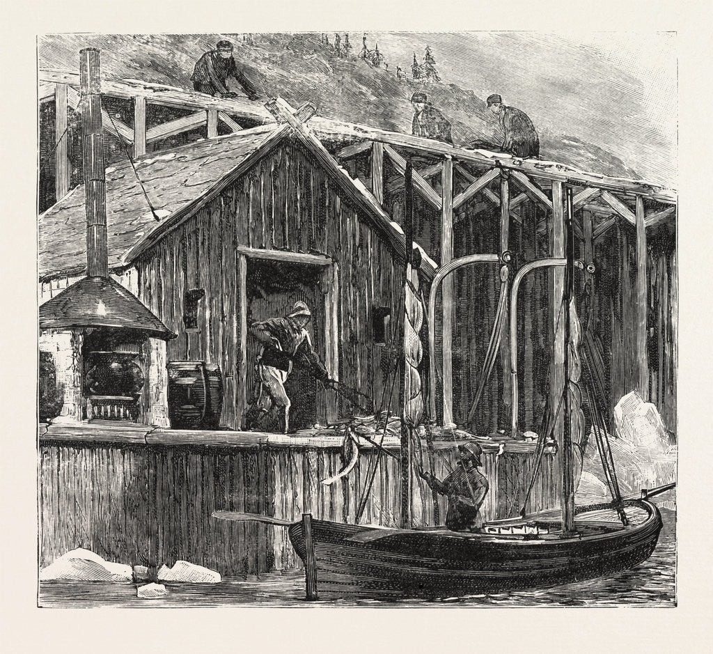 Detail of The Newfoundland Fisheries Question: British Fishing Room on the French Shore, Canada by Anonymous