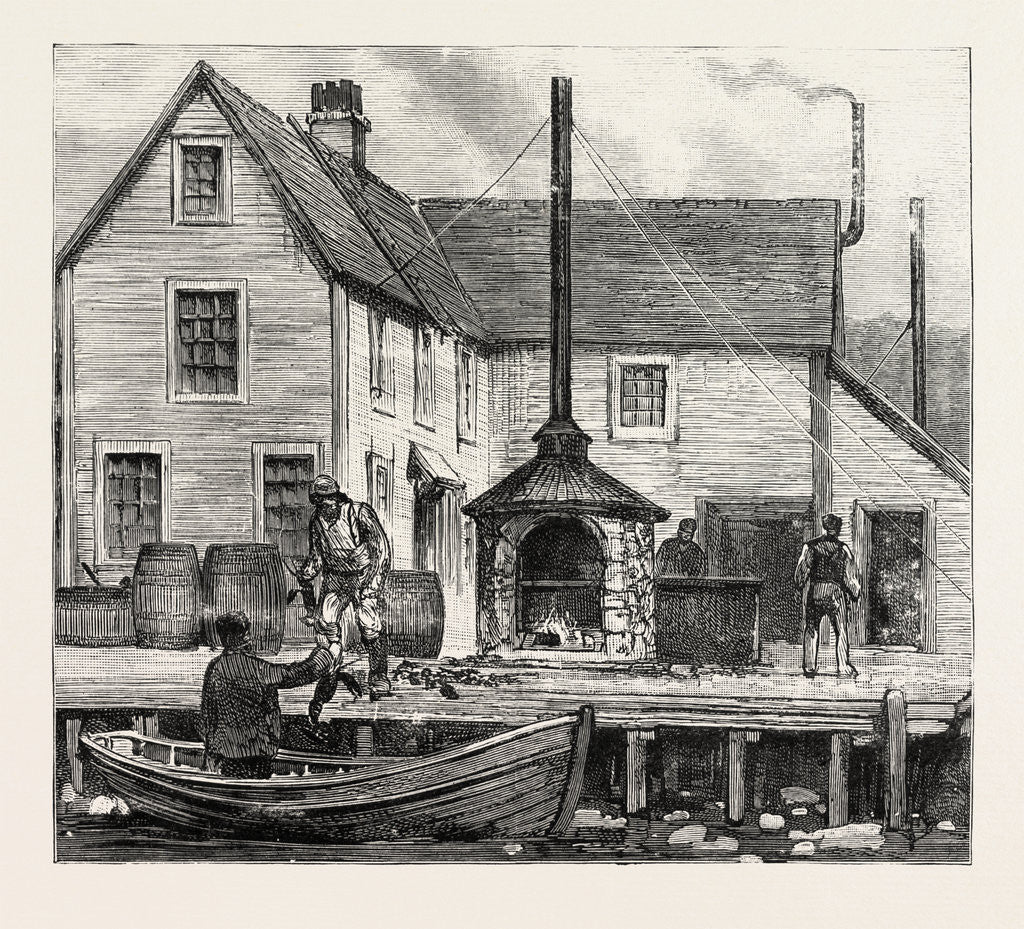 Detail of The Newfoundland Fisheries Question: Newfoundland Lobster Factory on the French Shore, Canada by Anonymous