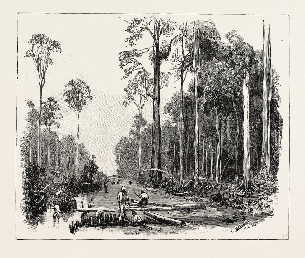 Detail of Road Making, and Draining the Land, Sumatra, Indonesia by Anonymous