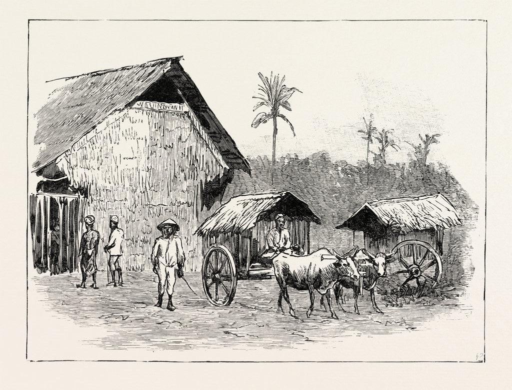 Detail of Drying Sheds for Tobacco, Sumatra, Indonesia by Anonymous