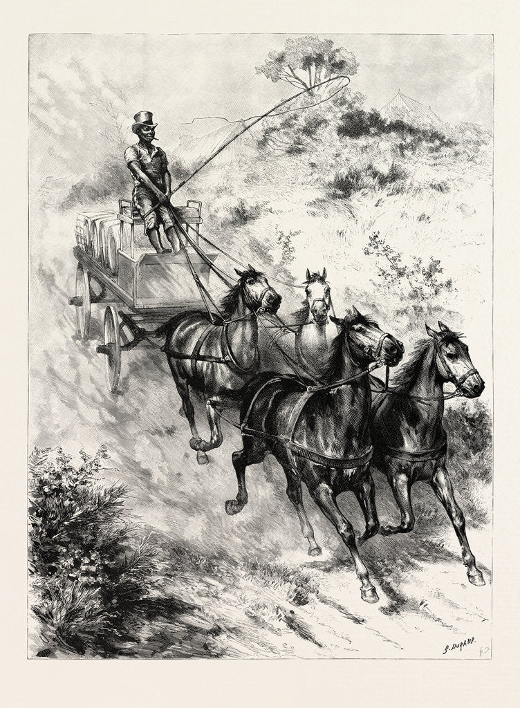 Detail of Monarch of All He Surveys, a Darkey Driver at Durban, South Africa by Anonymous