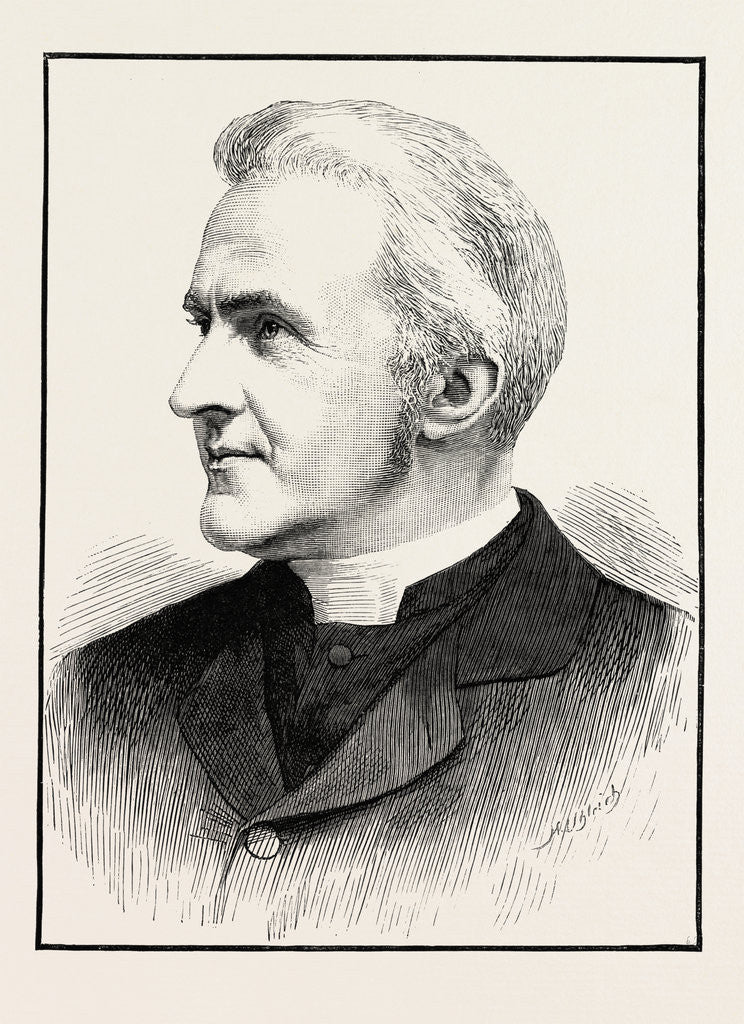 Detail of The Late Canon Liddon by Anonymous