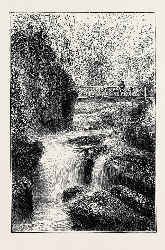 Detail of The Cinchona Plantations at Darjeeling, Bengal: Foot-Bridge Over the River Rungbee by Anonymous
