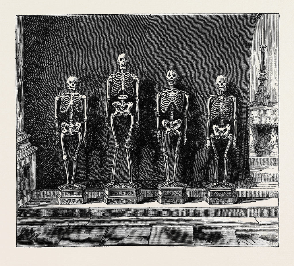 Detail of A Visit to the Battlefield of Solferino: Skeletons Found on the Battlefield by Anonymous