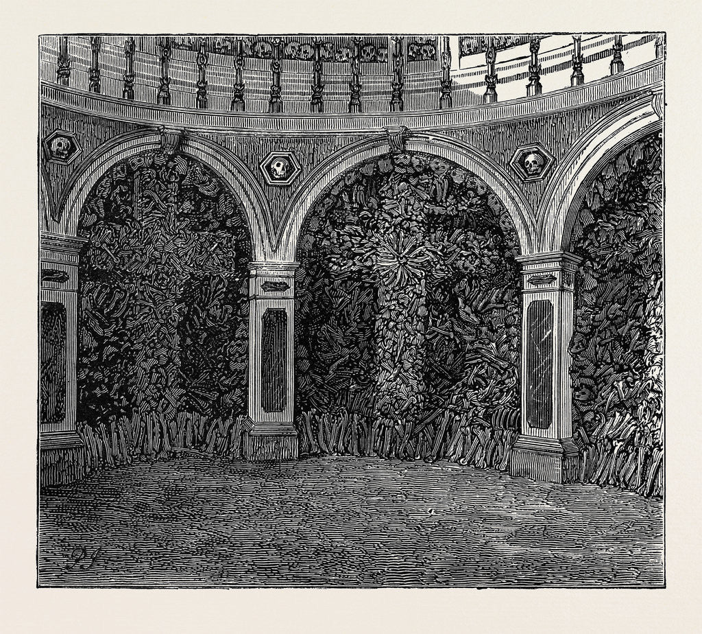 Detail of A Visit to the Battlefield of Solferino: Bones in the Ossuary by Anonymous