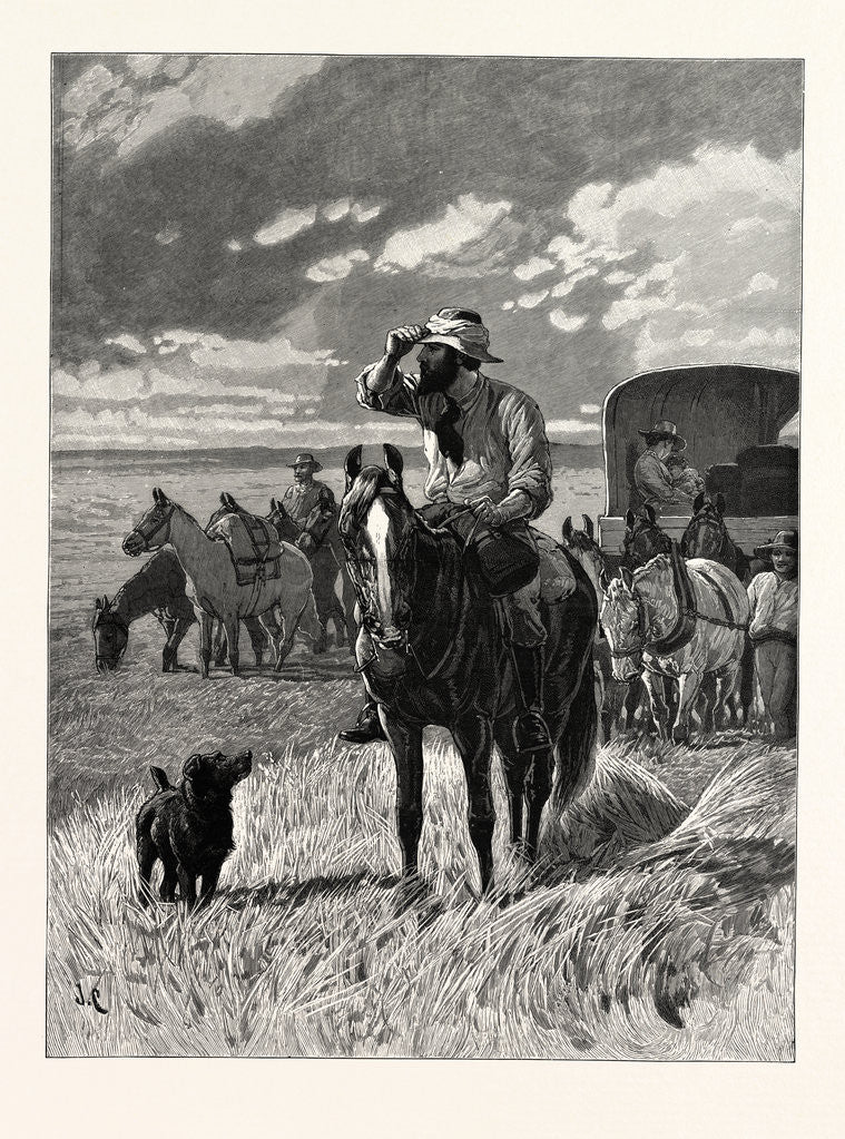 Detail of In Search of a New Home, a Scene in the Far West by Anonymous