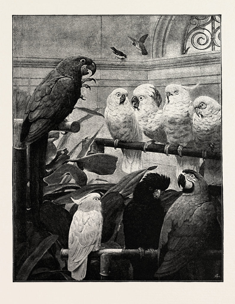 Detail of A Select Committee by Anonymous