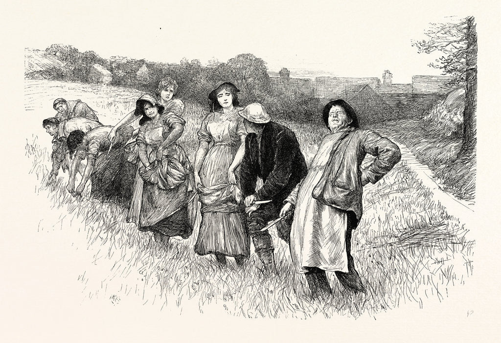 Detail of Tess of the D'Urbervilles: This Here Stooping Do Fairly Make My Back Open and Shut, Exclaimed the Dairyman by Anonymous