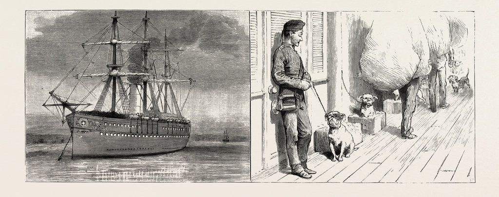 Detail of Tied Up at a Gare or Station in the Waist the Dogs' Quarter by Anonymous