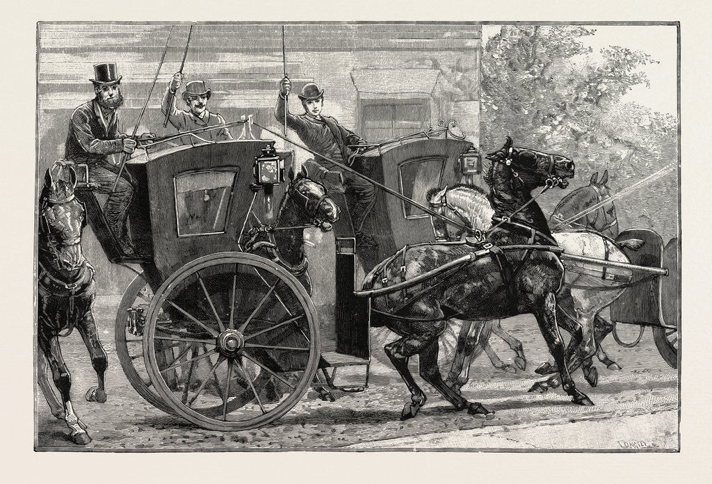 Detail of The Parrot and the Cabbies an Incident at a Seaside Holiday Resort: The Effect of a Parrot Making the Noise of a Cab Whistle This Sort of Thing Occurs at Intervals of Half-an-Hour by Anonymous