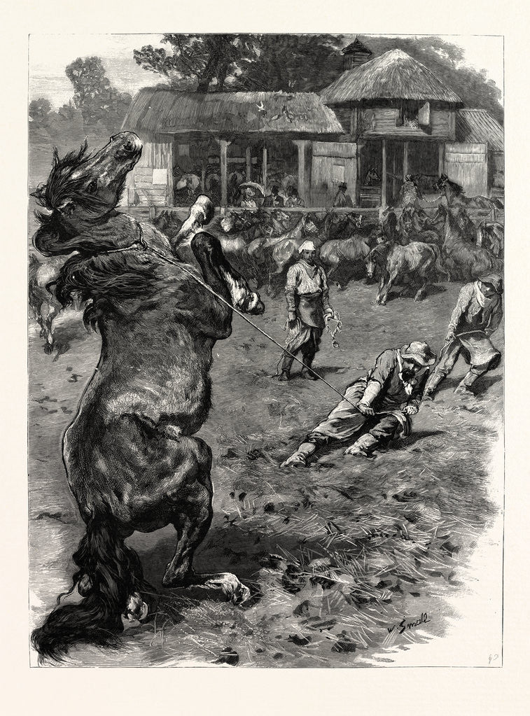 Detail of The Mustangs at Littleton Park Farm, Near Shepperton, Lassoing a Colt by Anonymous