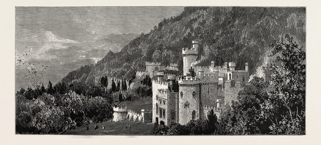 Detail of Gwrych Castle, Abergele, North Wales by Anonymous