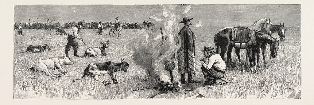 Detail of Sketches of Life on an Estancia in the Argentine Republic: The Capataz, or Overseer, Branding the Calves by Anonymous