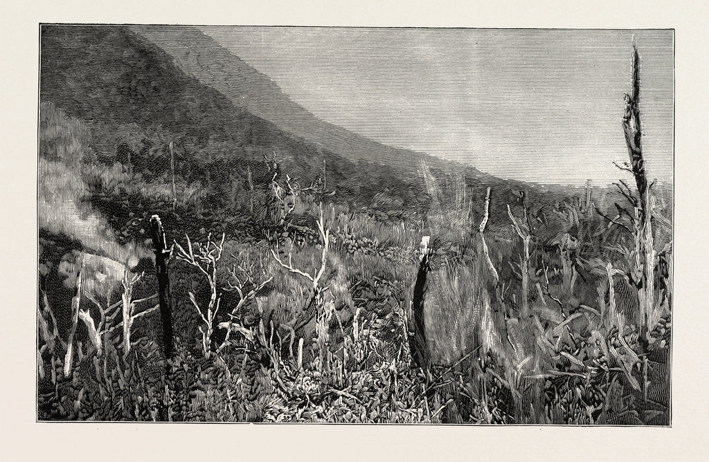 Detail of The Sulphur Grounds, Ojigoku (Great Hell), Near Lake Hakone, Japan by Anonymous