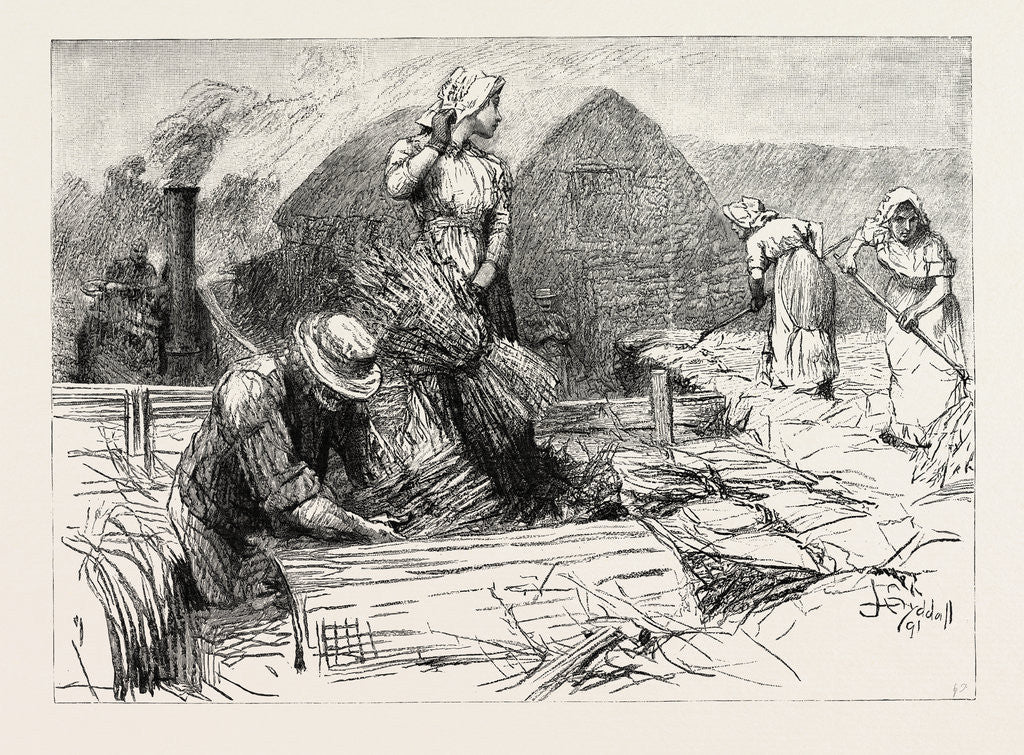 Detail of Tess of the D'Urbervilles by Anonymous